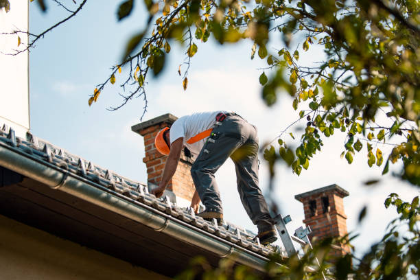 Best Storm Damage Roof Repair  in San Augustine, TX