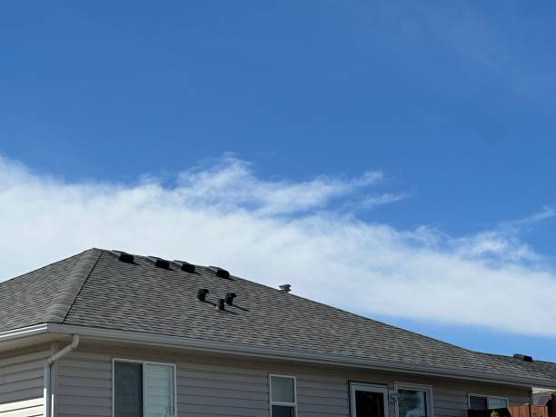 Asphalt Shingles Roofing in San Augustine, TX